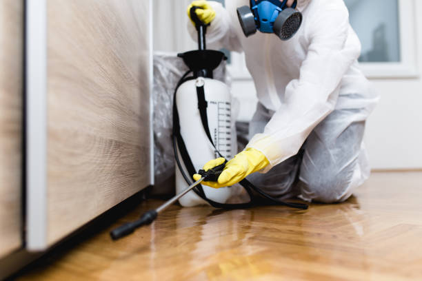 Best Bed Bug Extermination  in Center Point, IA