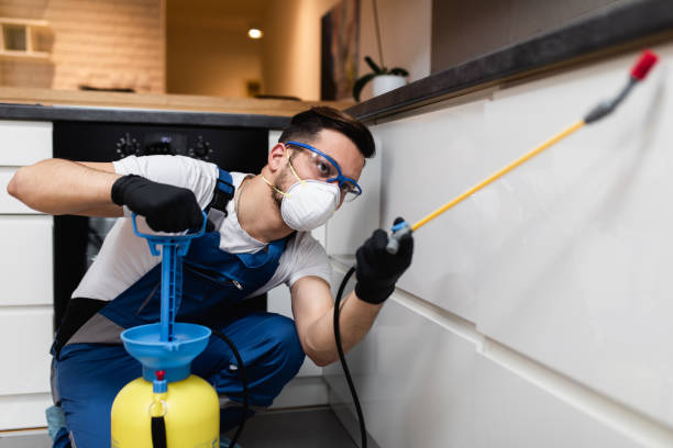 Best Local Pest Control Services  in Center Point, IA