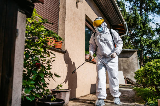 Best Pest Removal Services  in Center Point, IA