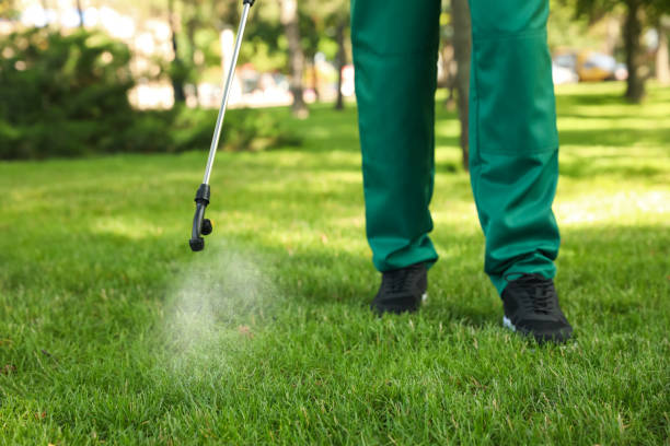 Insect Control in Center Point, IA