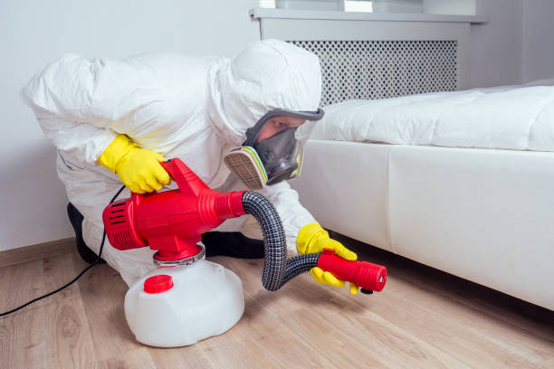 Best Local Pest Control Services  in Center Point, IA