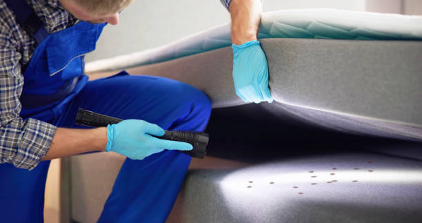 Best Wasp Removal Services  in Center Point, IA