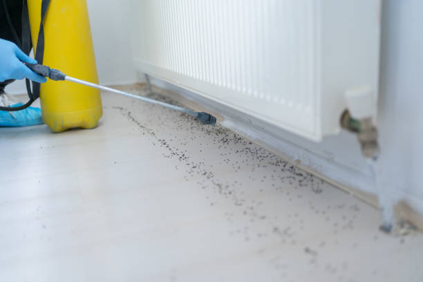Best Best Pest Control Companies  in Center Point, IA
